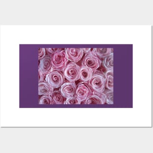 Paris Pink Roses Posters and Art